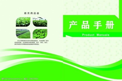 绿色蔬菜产品图片素材