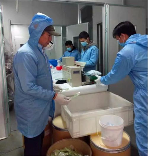 抗击疫情中国律师在行动 守望相助驰援荆楚