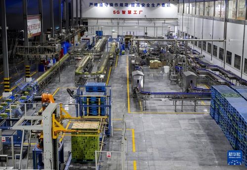 从家庭作坊到国际舞台 律师视角下的福建晋江民营企业蜕变之路