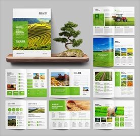 绿色农业的法律护航 农产品宣传册中的合规要点